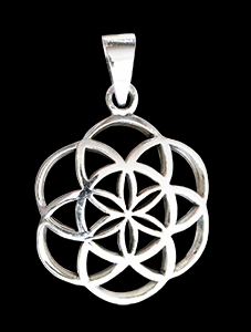 Flower of life silver halsband.
