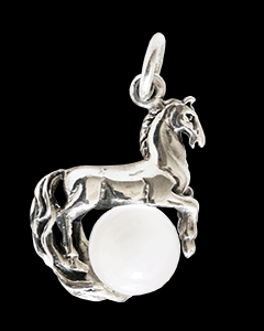 Unikt hästsmycke halsband i Äkta silver.