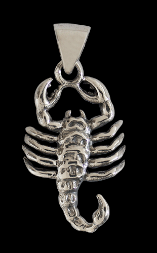 2.7 gr. Stjärntecken halsband skorpion i Äkta silver.