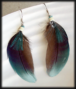 Blåa fjäder örhängen med silver krok.