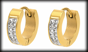 4 mm. Små söta örhängen med bling i guldpläterat stål.