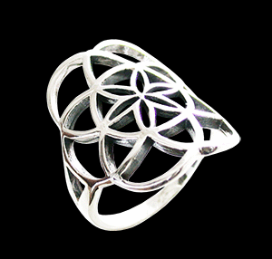 Flower of life silver ring.