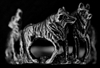 21537_R3VA.gif_