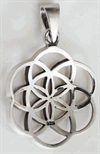 Flower of life silver halsband.