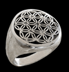 Flower of life.