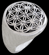 Flower of life.