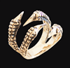 En bronsring med en klo. Claw-ring brons.